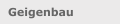 Geigenbau